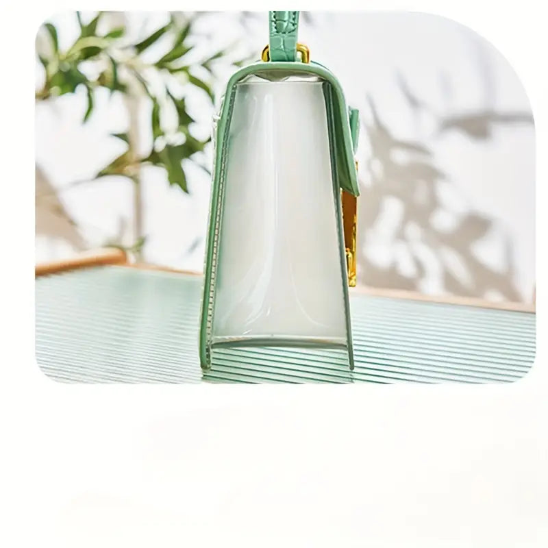 Transparent Trendy mini bag