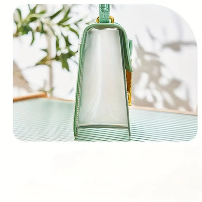 Transparent Trendy mini bag