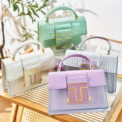 Transparent Trendy mini bag