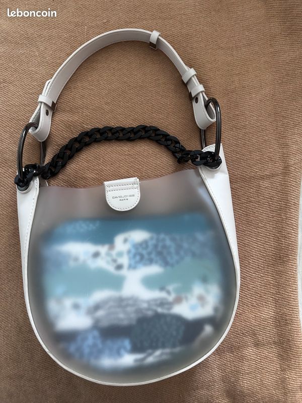 Transparent girlie bag